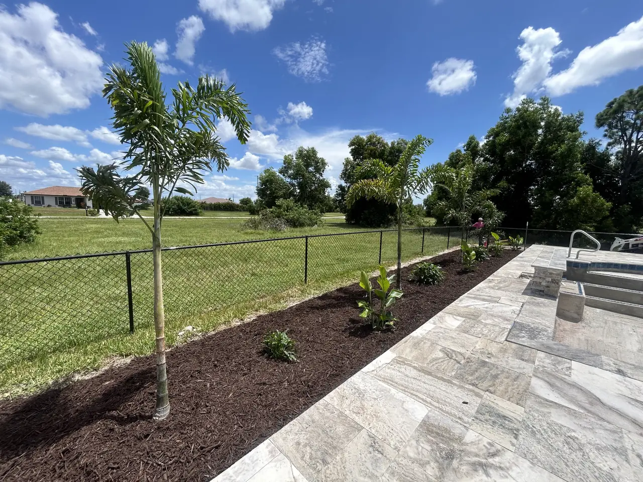 New palms along the pool deck