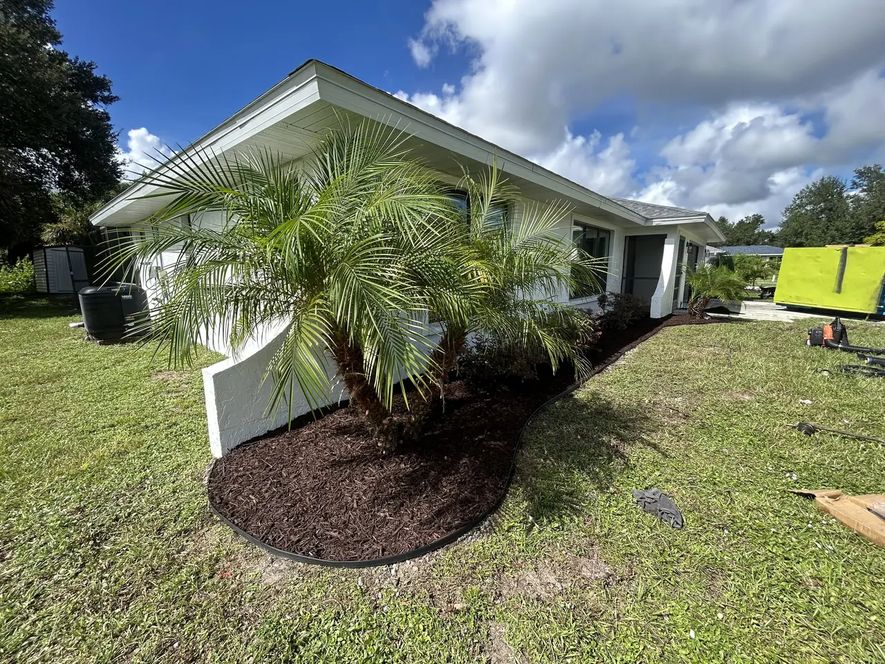 Pygmy palms in a new corner bed